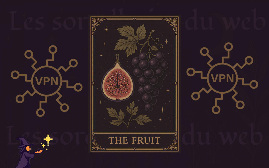 La vérité sur les VPN : une protection mi-figue mi-raisin