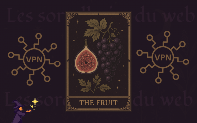 La vérité sur les VPN : une protection mi-figue mi-raisin